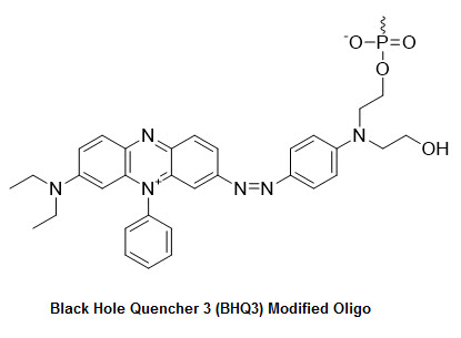 Bio-Synthesis Inc. Oligo Structure